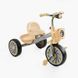 Велосипед 3-х колісний для дітей Best Trike з металевою рамою музичною фарою та кошиками для іграшок BS-35761 фото 1