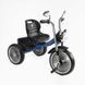 Триколісний велосипед для дітей Best Trike металева рама музична фара сидіння зі спинкою BS-68096 фото 1