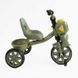 Триколісний велосипед для дітей Best Trike сталева рама сидіння зі спинкою музична іграшка BS-50570 фото 2